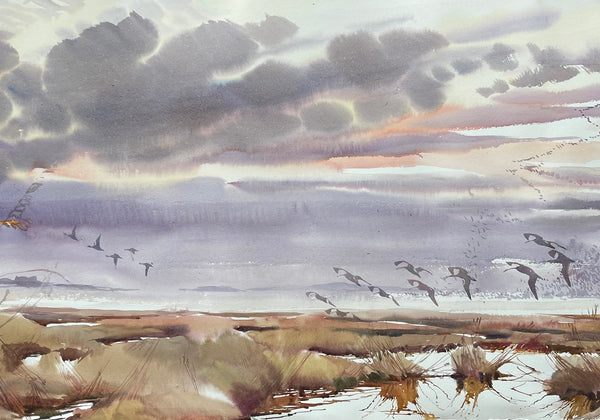 Curlew Arriving into Aberlady Bay