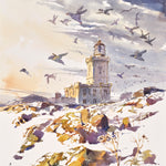 Dawn Light Over Main Light, Isle of May