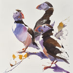 Puffin Trio and Shadows