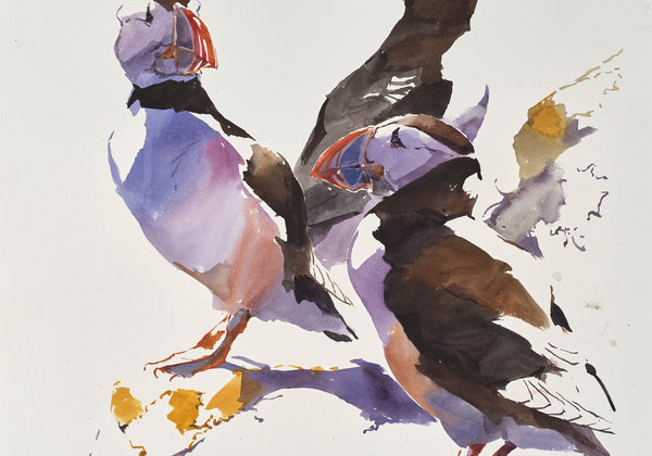 Puffin Trio and Shadows