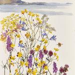 Sea Eagle, Machir and Great Yellow Bumblebee