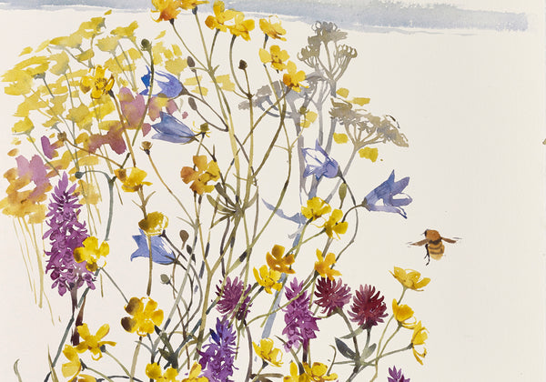 Sea Eagle, Machir and Great Yellow Bumblebee