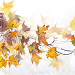 Tawny Owl Pair among Sycamore