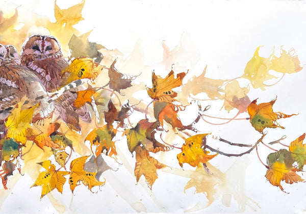 Tawny Owl Pair among Sycamore