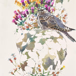 Young Cuckoo Among Coastal Colours