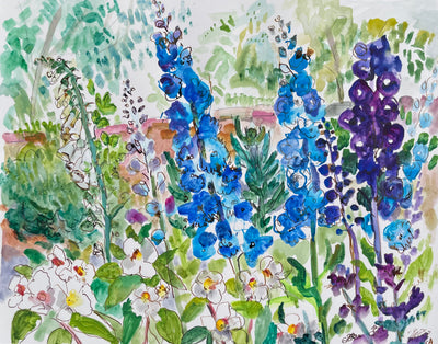 Delphinium Blue