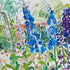 Delphinium Blue