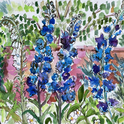 Delphiniums and Foxgloves