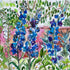 Delphiniums and Foxgloves