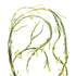 Egg Wrack