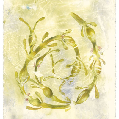 Egg Wrack, Submerged