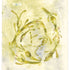 Egg Wrack, Submerged