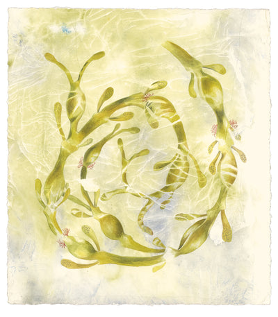 Egg Wrack, Submerged