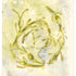 Egg Wrack, Submerged