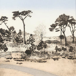 Coastal Pines
