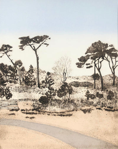 Coastal Pines