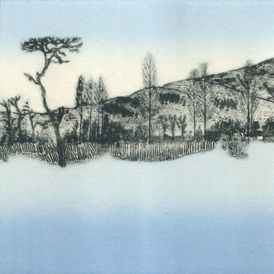 Drawn In By Blues