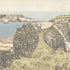 Dunnottar Castle