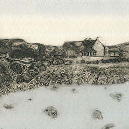 Seaweed Shore