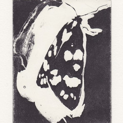 Scarlet Tiger Moth