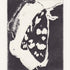 Scarlet Tiger Moth
