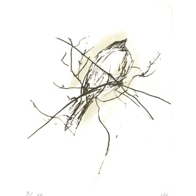 Lone Sparrow