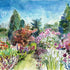 Herbaceous Border