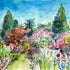 Herbaceous Border