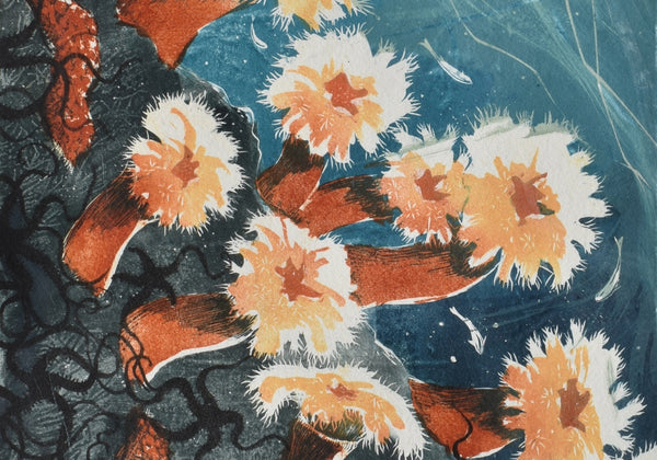 Louise Scammell - Hope Spot, Plumose Anemones