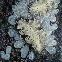 Hope Spot, Seeing the Light