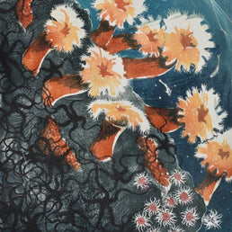 Hope Spot, Plumose Anemones