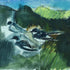 House Martins Gathering Mud