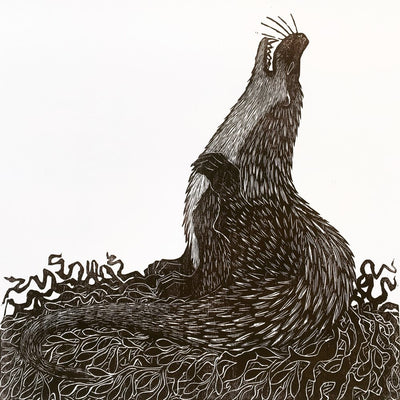Scratching Otter