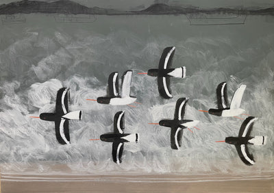 A Choppy Day For Oystercatchers