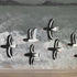 A Choppy Day For Oystercatchers
