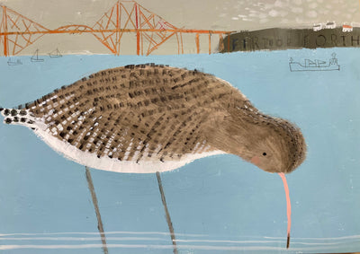 Curlew At The Firth Of Forth