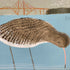 Curlew At The Firth Of Forth