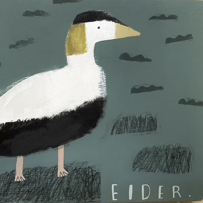Eider