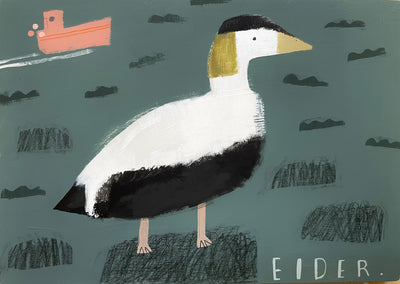 Eider