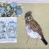 Greetings Skylark SOLD
