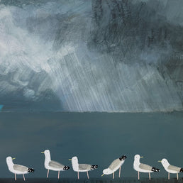 Gulls Gather