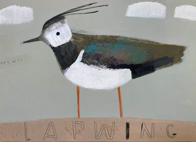 Lapwing