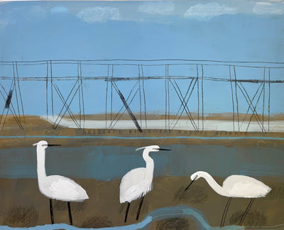 Little Egrets Aberlady LNR