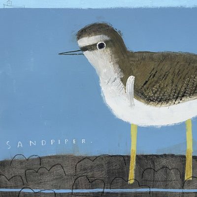 Sandpiper