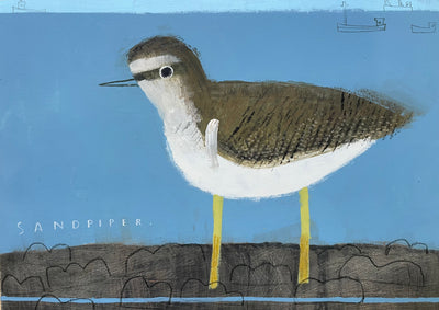 Sandpiper