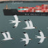 Terns Overlooking The Liner