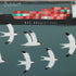 Terns Overlooking The Liner