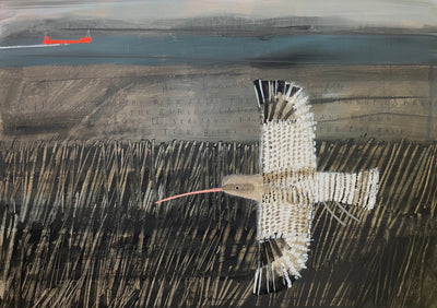 The Call Of The Curlew