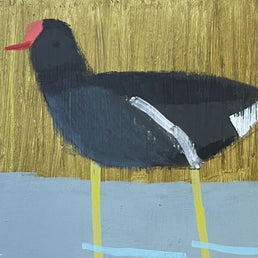 The Moorhens