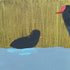 The Moorhens